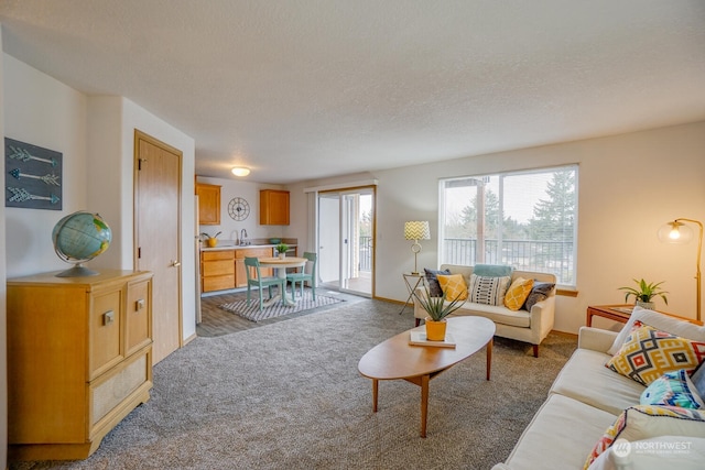 carpeted living room featuring sink and a textured ceiling