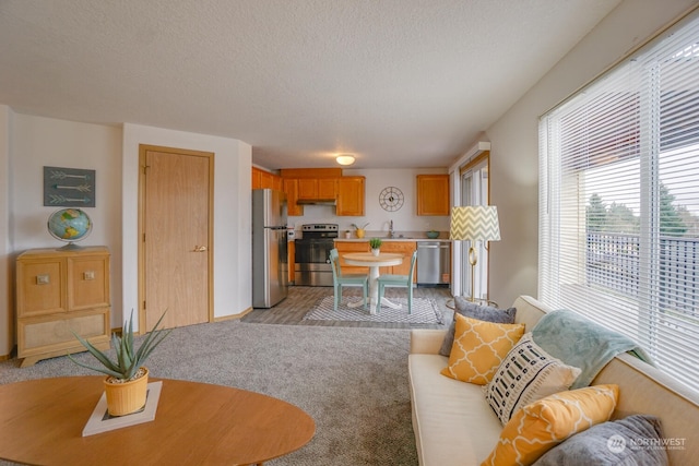 living room with light colored carpet, sink, and a textured ceiling