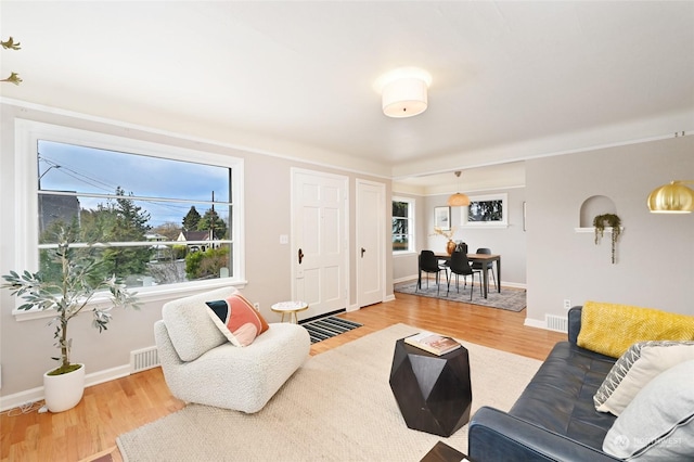 living room featuring hardwood / wood-style flooring and a wealth of natural light