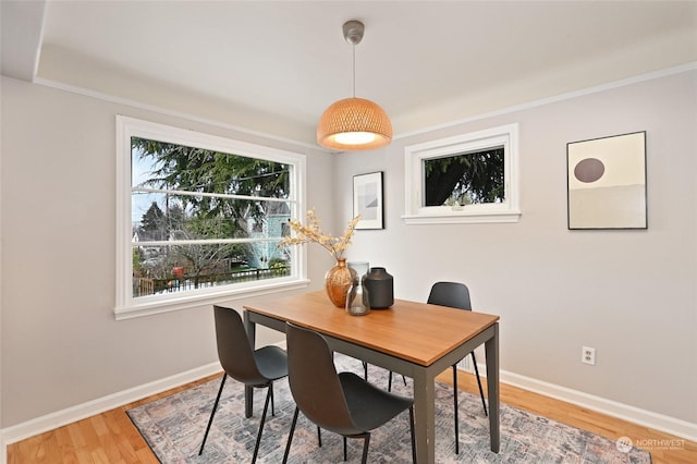 dining space with hardwood / wood-style floors