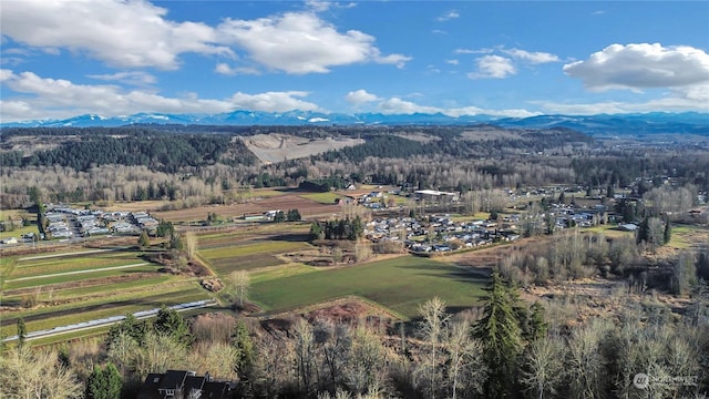 bird's eye view featuring a mountain view