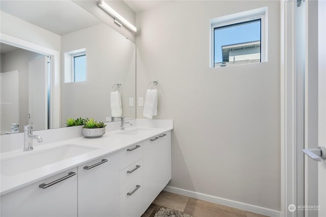 bathroom with vanity and a wealth of natural light