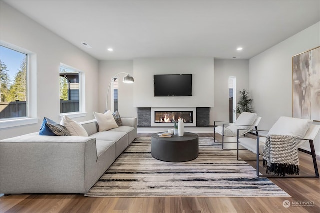 living room with hardwood / wood-style floors