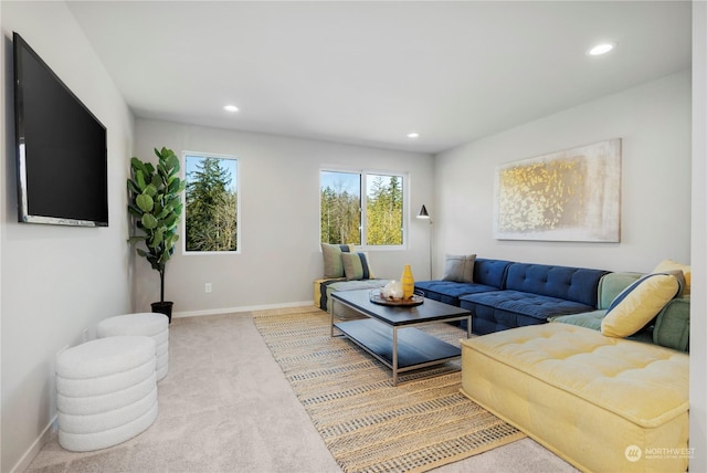 living room featuring carpet flooring