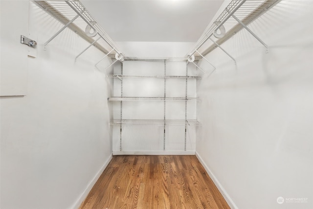 walk in closet featuring wood-type flooring