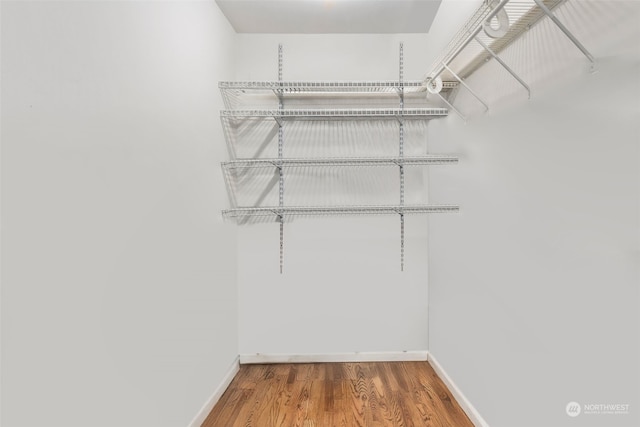 walk in closet featuring hardwood / wood-style flooring