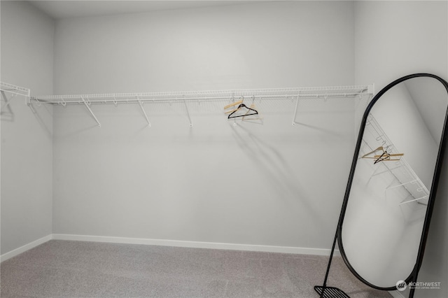 spacious closet with carpet