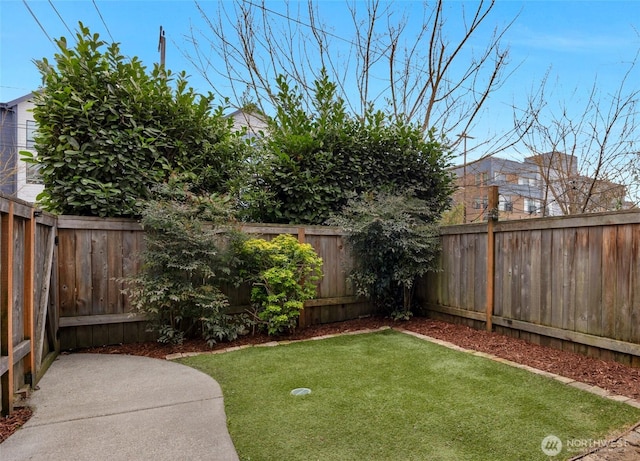 view of yard with a patio area and a fenced backyard