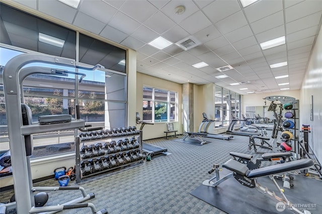 gym with carpet and a drop ceiling