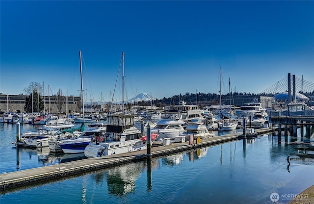 dock area with a water view