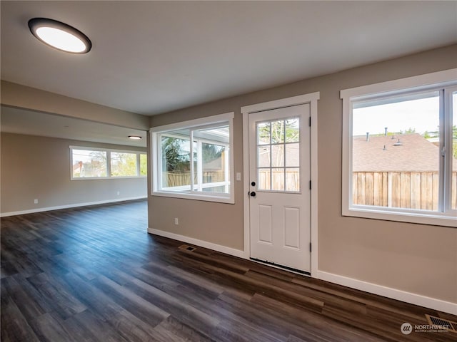 doorway featuring a healthy amount of sunlight and dark hardwood / wood-style flooring