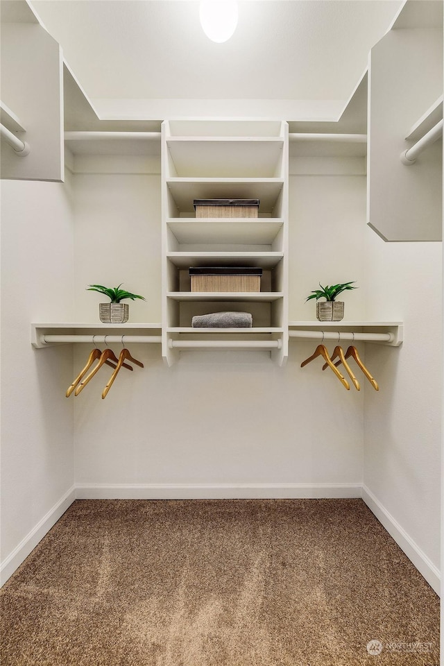 walk in closet with carpet