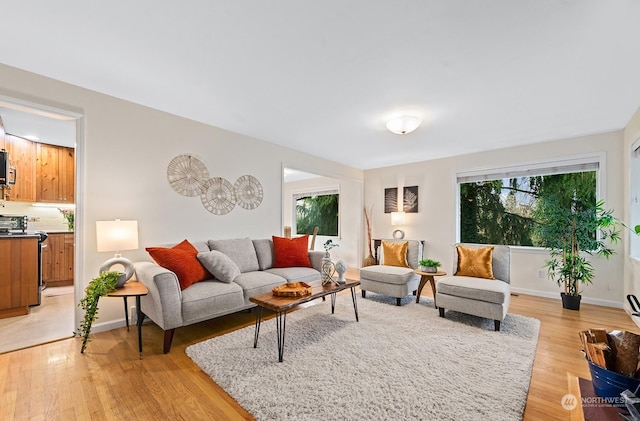 living room featuring light hardwood / wood-style floors