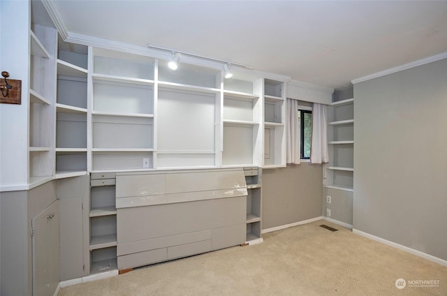 spacious closet featuring light colored carpet