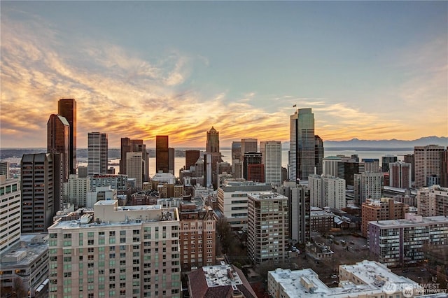 1301 Spring St Unit 16C, Seattle, WA 98104 - photo 1
