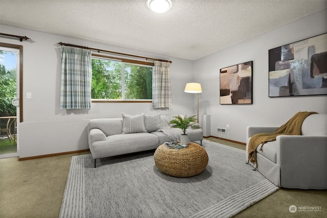 living room with carpet floors and a textured ceiling