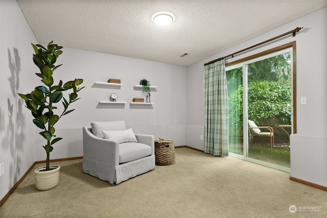 sitting room with carpet and a textured ceiling