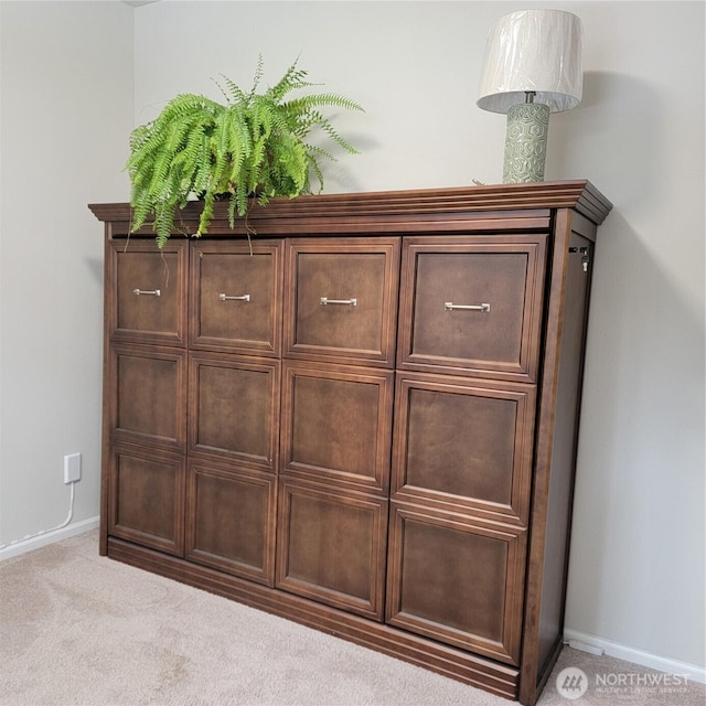 room details featuring carpet floors and baseboards