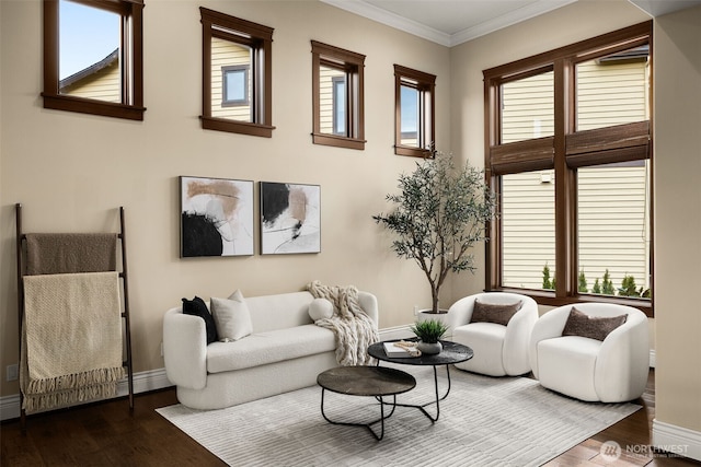 living area featuring ornamental molding, a wealth of natural light, and wood finished floors