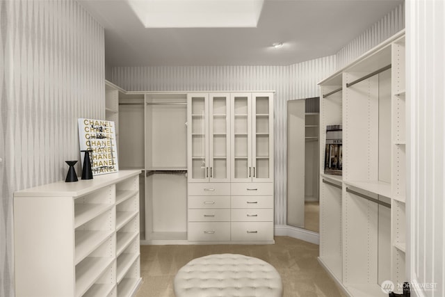 spacious closet with light carpet