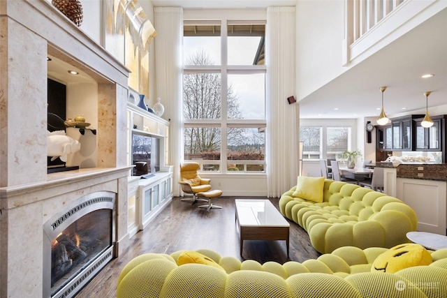 living room with heating unit, a towering ceiling, a fireplace, and dark wood-type flooring