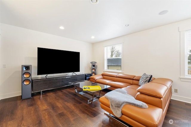 living room featuring dark hardwood / wood-style flooring