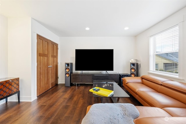 living room with dark hardwood / wood-style flooring