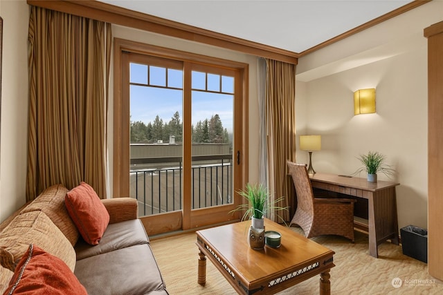 living area featuring ornamental molding