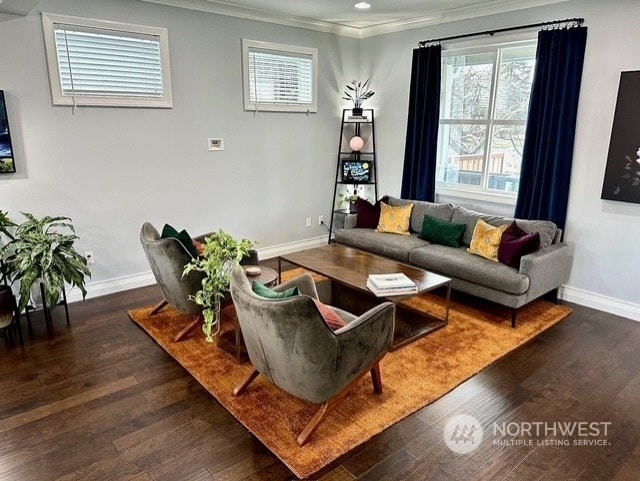 living room featuring crown molding and dark hardwood / wood-style flooring