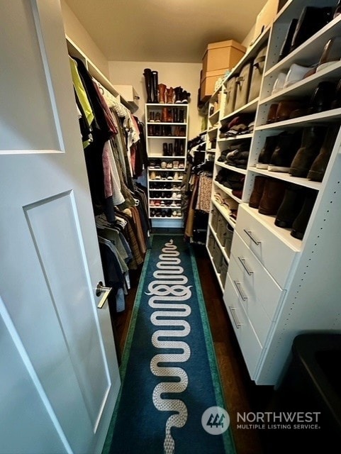 walk in closet featuring dark wood-type flooring