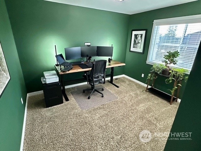 home office with carpet flooring