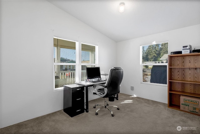 office with lofted ceiling, a healthy amount of sunlight, and light carpet