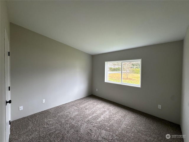 spare room featuring carpet flooring