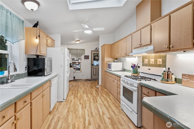 kitchen featuring light wood-type flooring, sink, backsplash, white appliances, and ceiling fan