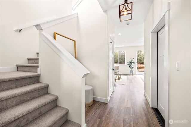 staircase with hardwood / wood-style flooring