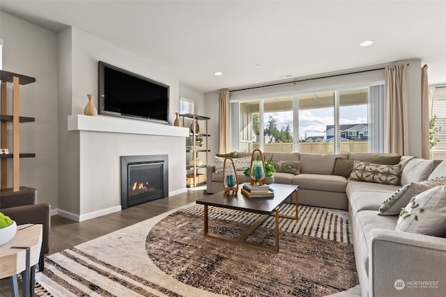 living room featuring dark hardwood / wood-style floors