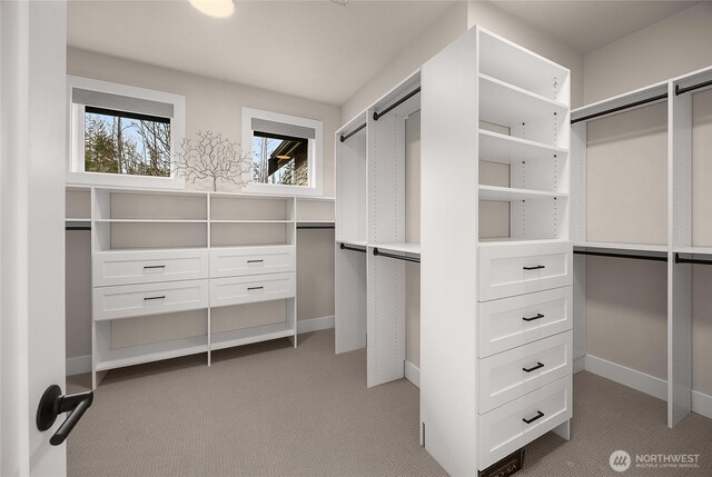 spacious closet with carpet flooring and a barn door