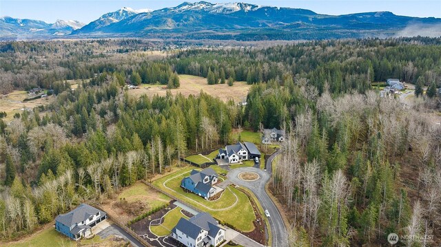 bird's eye view with a mountain view and a view of trees