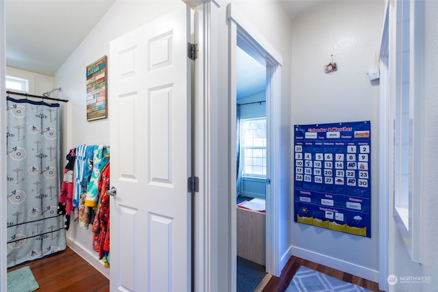 bathroom featuring hardwood / wood-style floors