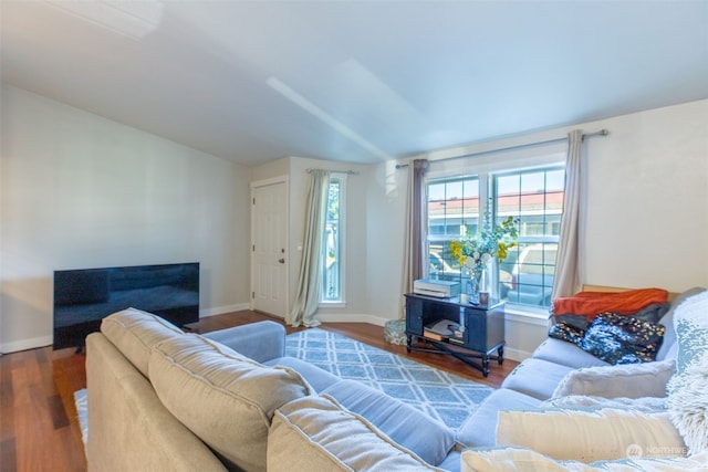 living room featuring wood-type flooring and lofted ceiling