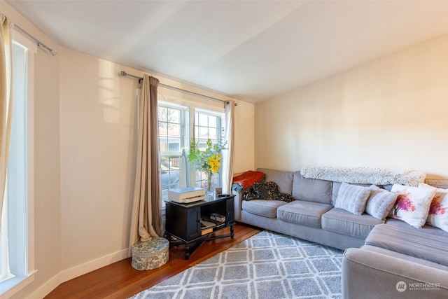 living room with hardwood / wood-style flooring