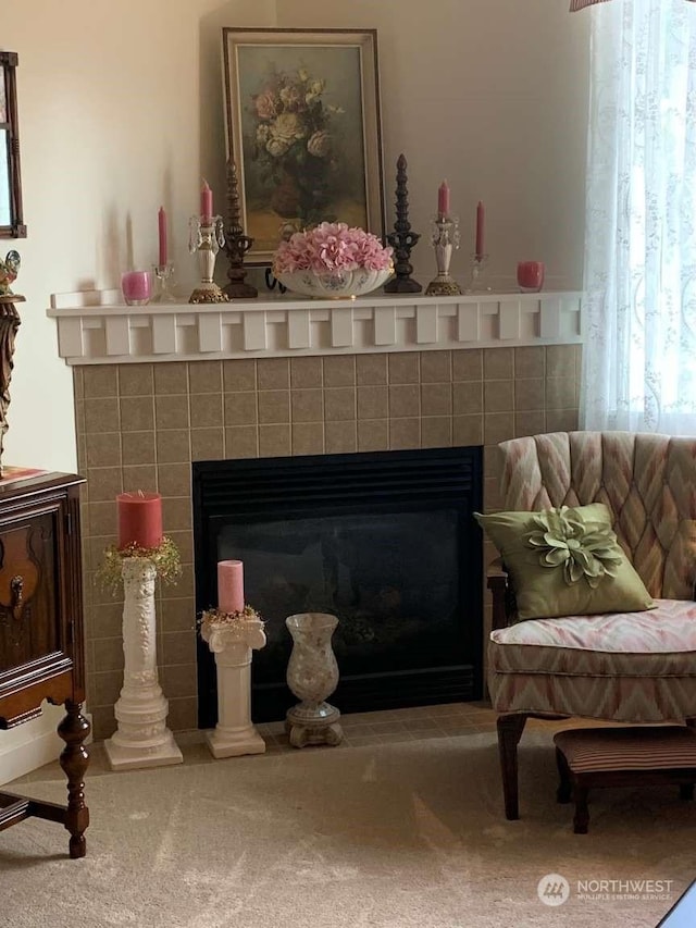 room details with a fireplace and carpet