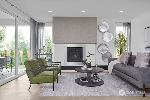 living room with light wood-type flooring