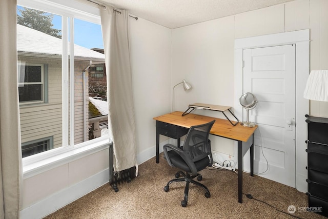 office featuring carpet floors