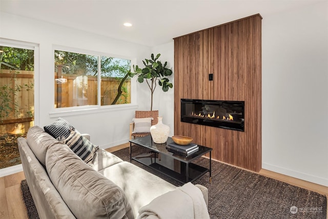 living room with hardwood / wood-style floors and a large fireplace