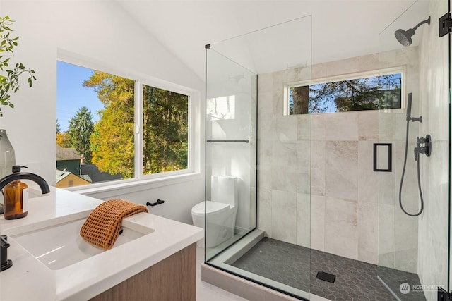 bathroom featuring lofted ceiling, vanity, toilet, and an enclosed shower