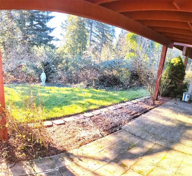 view of yard featuring a patio