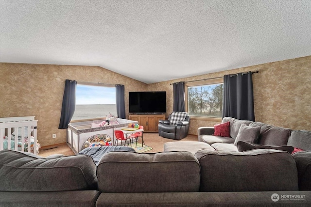 living room featuring vaulted ceiling, carpet flooring, and a textured ceiling