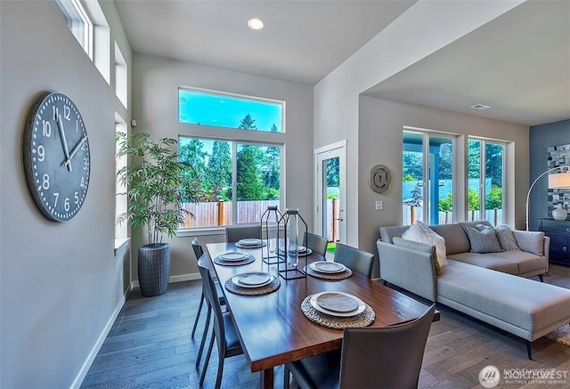 dining area with wood-type flooring