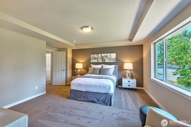 carpeted bedroom featuring a raised ceiling